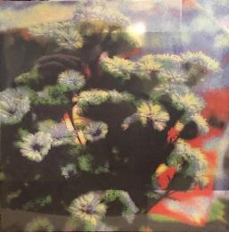 Jinje & A. Montane/Neon Garden (12")