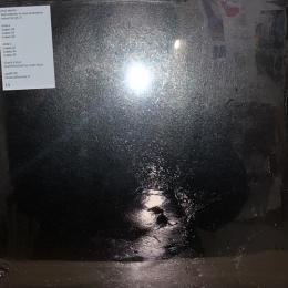 Gigi Masin/SPS25109 (LP")