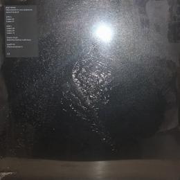 Gigi Masin/SPS25110 (LP")