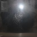 Gigi Masin/SPS25110 (LP")