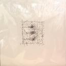 Lifted/Trellis (LP")