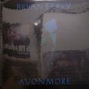 Bryan Ferry/Avonmore (12")