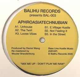 Daniel Wang/Aphroasiatechnubian (12")