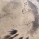 Peryl/Phase Alternations (2xLP")