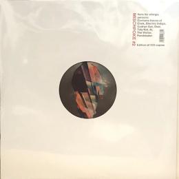 Various Artists/Mischpoke #2 (12")