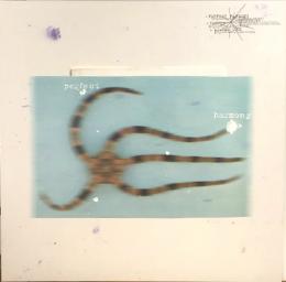 Guy Contact & Solar Suite/Perfect Harmony EP (12")
