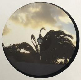 RP/SCHARNHORST006 (12")