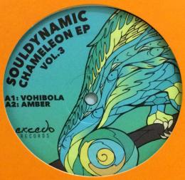 Souldynamic/Chameleon EP (12")