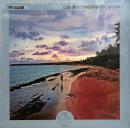 Lexx/In Between State (12")