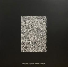 Babe Roots & Another Channel/Takeover EP (12")