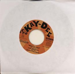 Leon Mitchison/What Cha Need (7")