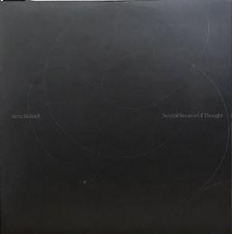 Steve Bicknell/Several Streams of Thought (2x12")