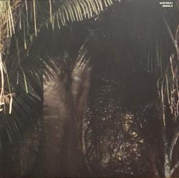 Acid Pauli/Urwald (12")