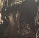 Acid Pauli/Urwald (12")