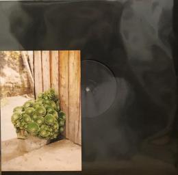 Marco Shuttle/MSP02 (12")
