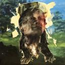 Wampis of Guayabal & Aboutface/Los Bosquesinos LP"