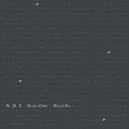 Haruomi Hosono/N.D.E. (2xLP")