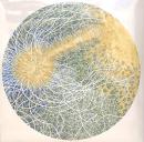 Max Cooper/Feeling Is Structure (3xLP")