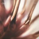 Nastia/TECH041 (12")