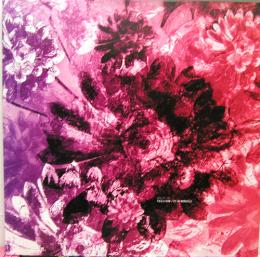 V.A./Split EP (12")