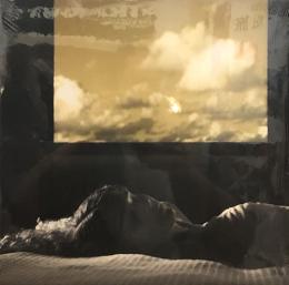 Erika De Casier/Lifetime (LP")