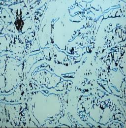 RH.Cher/Drag-o Mir EP (12")