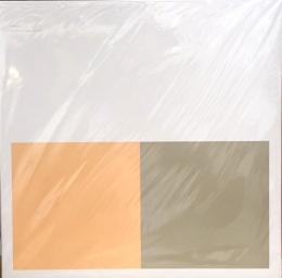 Alva Noto + Ryuichi Sakamoto/Revep (LP")