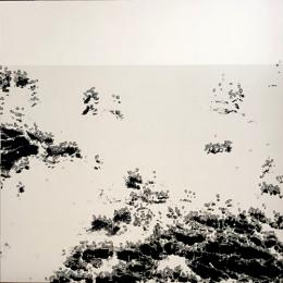 Bot1500/The Black Sea (LP")