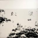 Bot1500/The Black Sea (LP")