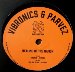 Vibronics & Parvez/Healing Of The Nation (12")