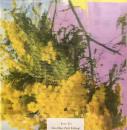 Four Tet/Into Dust (Still Falling) (12")