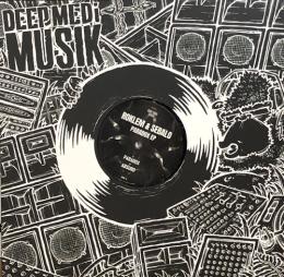 Roklem & Sebalo/Paradox (12")