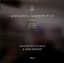 Steve Dtoll & Damon Wild/We Left The Planet (12")