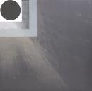 Conna Haraway/Shifted (12")