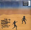 People's People/The Sprit Of David (LP")