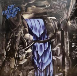 Fat Freddy's Drop/Slo Mo (2xLP")