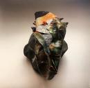 Rrose & Polygonia/Dermatology (LP")