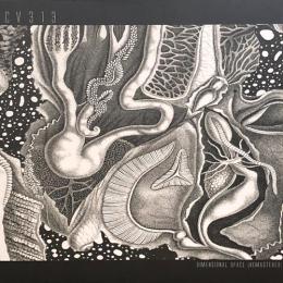 cv313/dimensional space (3xLP")
