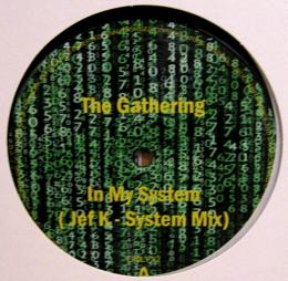 The Gathering/In My System (12")