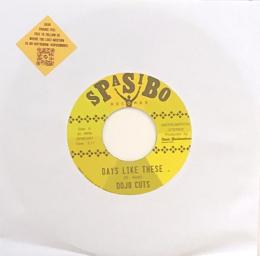 Dojo Cuts/SP45-047 (7")