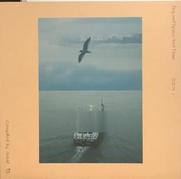 Antal/Pursuit Of The Journey (12")