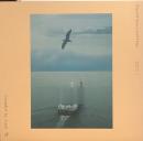 Antal/Pursuit Of The Journey (12")