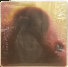 Pianeti Sintetici/Esplora III (12") LTD