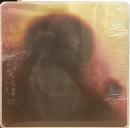 Pianeti Sintetici/Esplora III (12") LTD