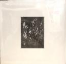 Various/ASKRNVA05 (2xLP")