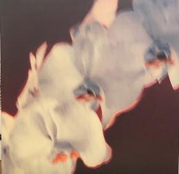 Kat Rose & Mikekon/I See You (12")