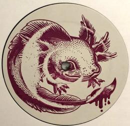 Bass Junction/BXL Gang (12")